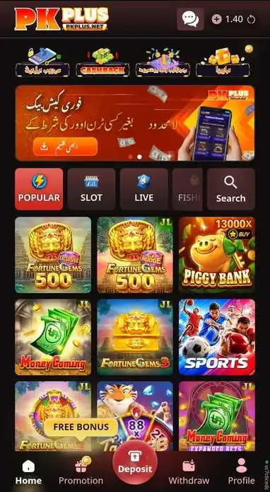 PK Plus Game apklove.com.pk